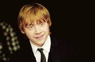 Rupert