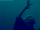 VoldemortHarryAnimation.gif