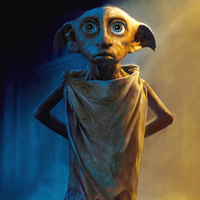 House Elf Harry Potter Wiki Fandom
