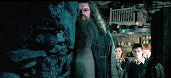 Hagrid talking to the trio