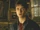 Halfblood-03418.jpg