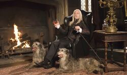 Lucius Malfoy at Malfoy Manor with his dogs