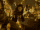 Possibly Partis Temporus-2.gif