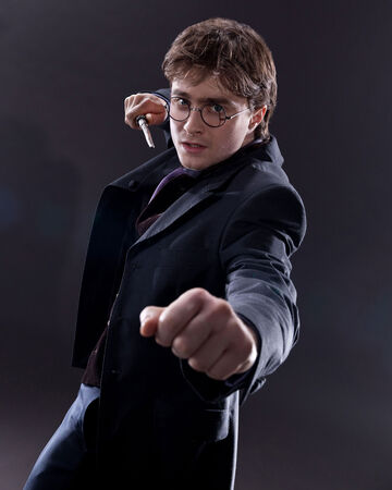 Garri Potter Garri Potter Viki Fandom