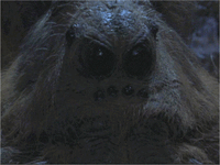 Aragog