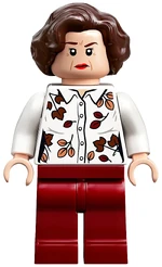 Aunt Petunia Lego