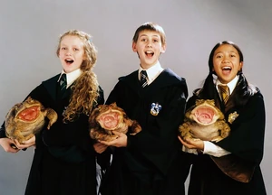 Хор лягушек