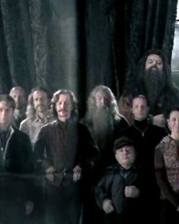 Order Of The Phoenix Photograph Harry Potter Wiki Fandom