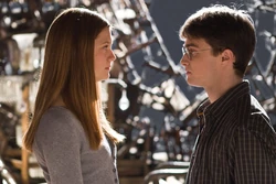 Ginny i harry pokoj