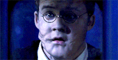 Harry verwandelt sich Goyle
