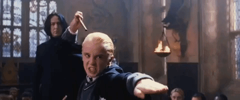 Harry potter funny GIF on GIFER - by Conjurim