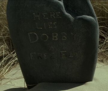 Real-Life Harry Potter Dobby Memorial Will Be Left Up After Review