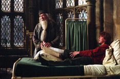 Dumbledore Bedside Manner POA