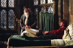 Dumbledore Bedside Manner POA
