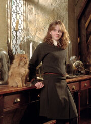 Hermione poa