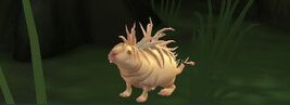 Hester the Murtlap HM