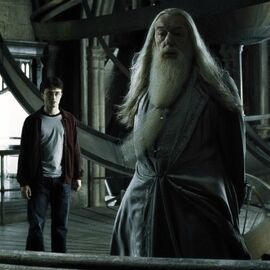 Dumbledore na wieży.jpg