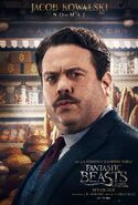 Fantastic-Beasts-and-Where-to-Find-them-Character-Posters-5