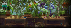 Herbology second year