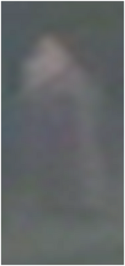 Teacher xxvii