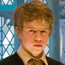 カテゴリ スミス家 Harry Potter Wiki Fandom