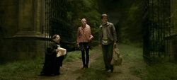 Harry-potter-half-blood-movie-screencaps