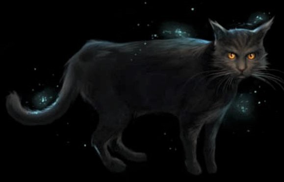 zerei o jogo do gato em Hogwarts : r/HamyFast