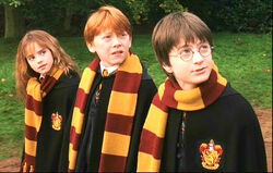 First year | Harry Potter Wiki | Fandom