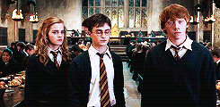 Fifth year Harry Potter Wiki Fandom