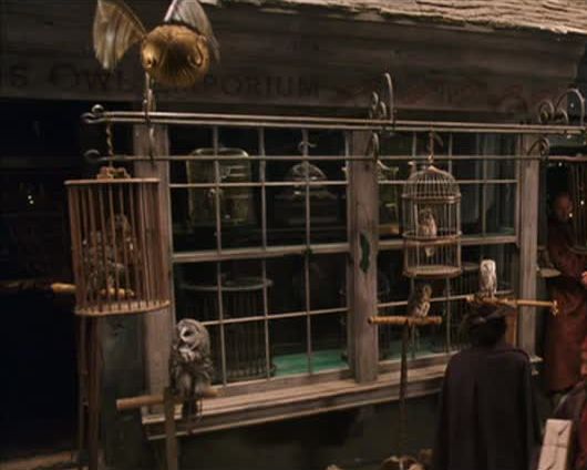 Au Royaume Uni, les chouettes d'Harry Potter sont abandonnées