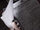 DH1 Muggle-Borns Registration Commission Order No. 902-MBRC.jpg