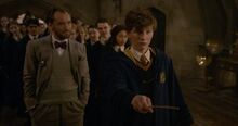 Dumbledore teaching Newt