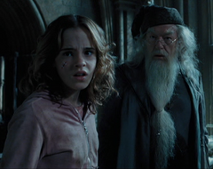 Hermione Granger and Albus Dumbledore POAF