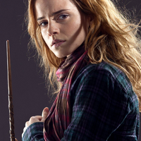 Hermione Granger S Scarf Harry Potter Wiki Fandom