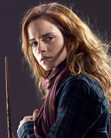 Hermione Granger S Scarf Harry Potter Wiki Fandom