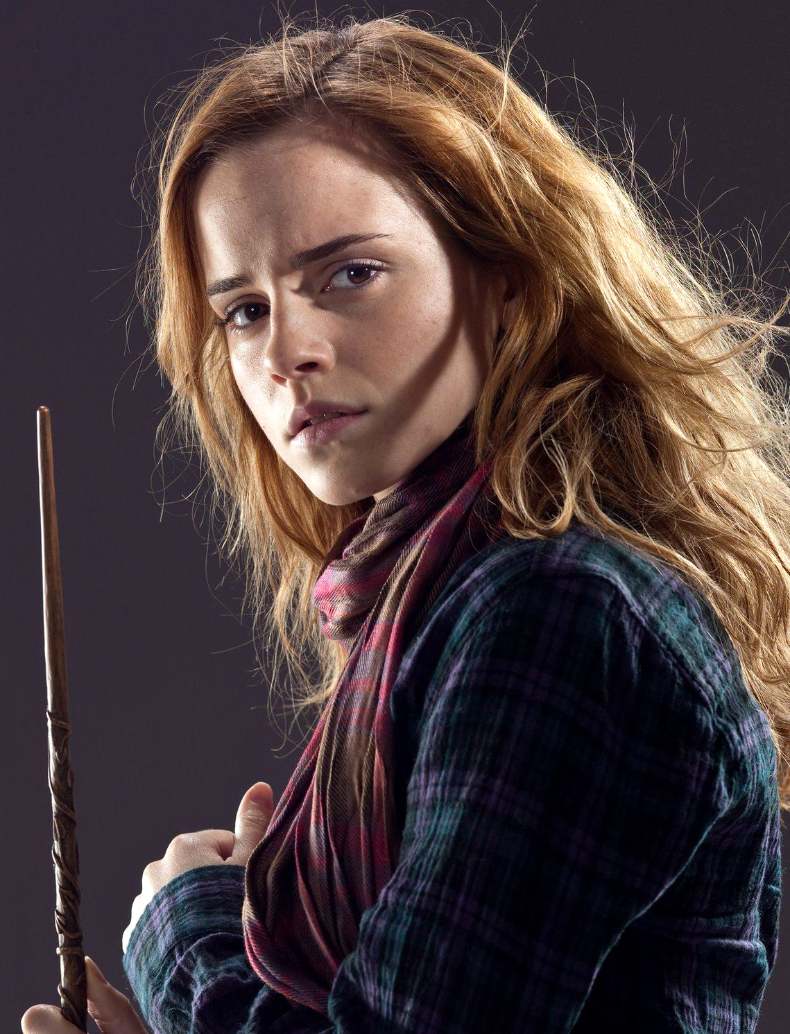 Hermione Granger's scarf, Harry Potter Wiki