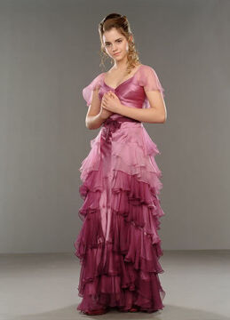 Aarzelen creëren vrijgesteld Hermione Granger's dress robes | Harry Potter Wiki | Fandom