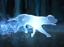 Mongrel Dog Patronus.png (411 KB) Mongrel Dog