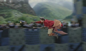 Гарри гонится за снитчем