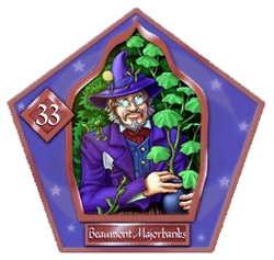 Бомонт Марджорибэнкс (HP2)