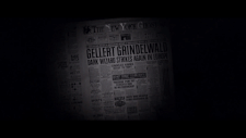 Gellert News