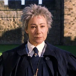 Madam Hooch