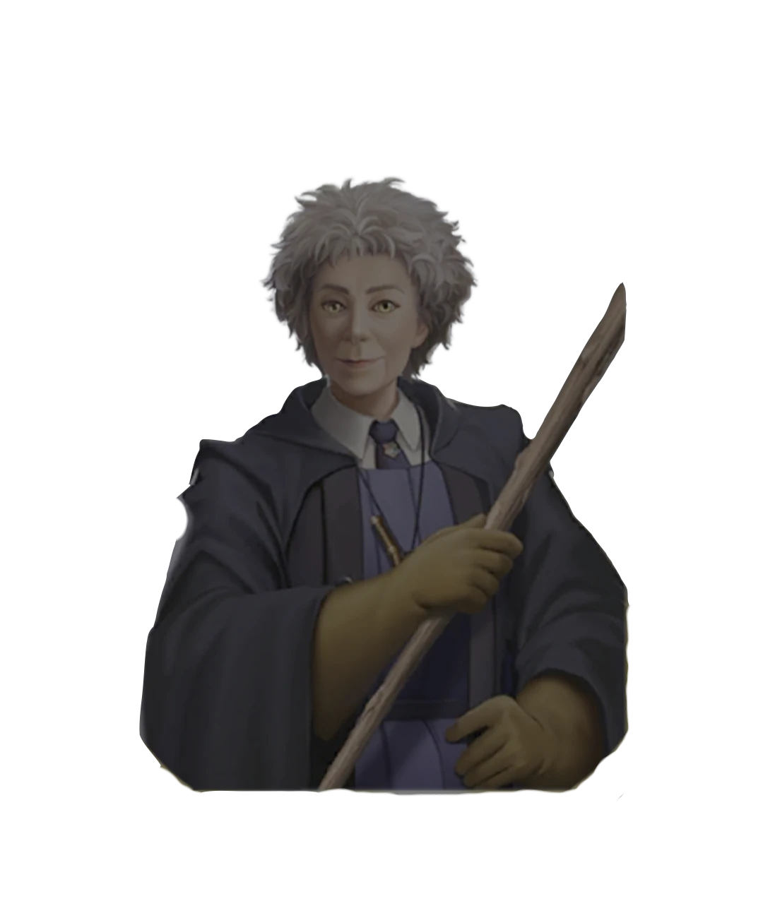 Harry Potter Madam Hooch
