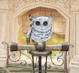 Spot-Bellied Eagle Owlet