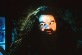 Хагрид навещает Гарри