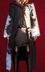 Icy Robes HM