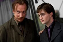 Potter Lupin