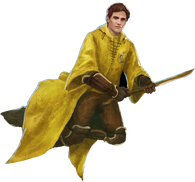 Quidditch Captain Cedric Diggory WU.PNG