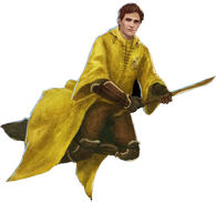 Quidditch Captain Cedric Diggory WU