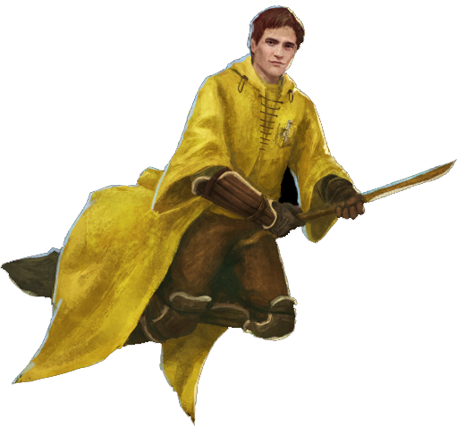 Hufflepuff Captain Penna Harry Potter